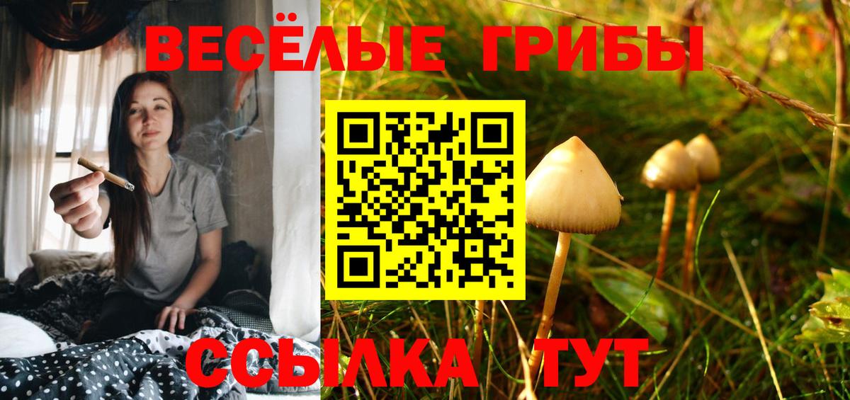 Галлюциногенные грибы MAGIC MUSHROOMS Назарово